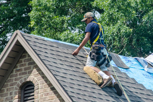 Best Roof Gutter Cleaning  in Ridgeville, SC